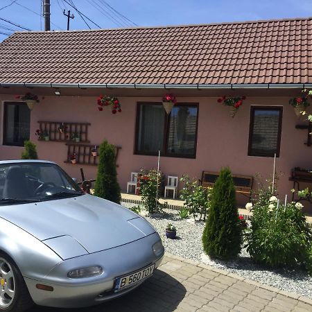 Casa Rustica Cu Terasa Villa Mediaş Exteriör bild