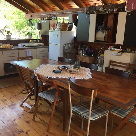 Casa Rustica Cu Terasa Villa Mediaş Exteriör bild