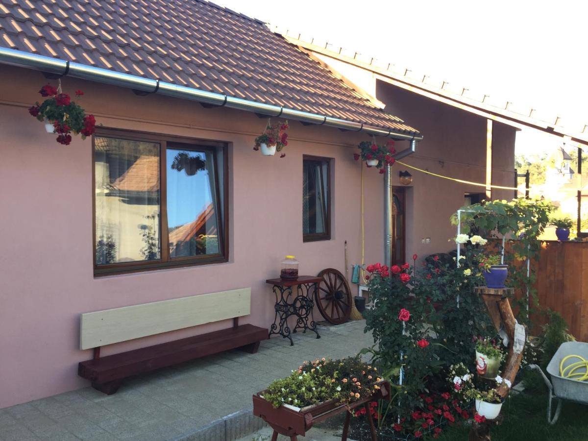 Casa Rustica Cu Terasa Villa Mediaş Exteriör bild