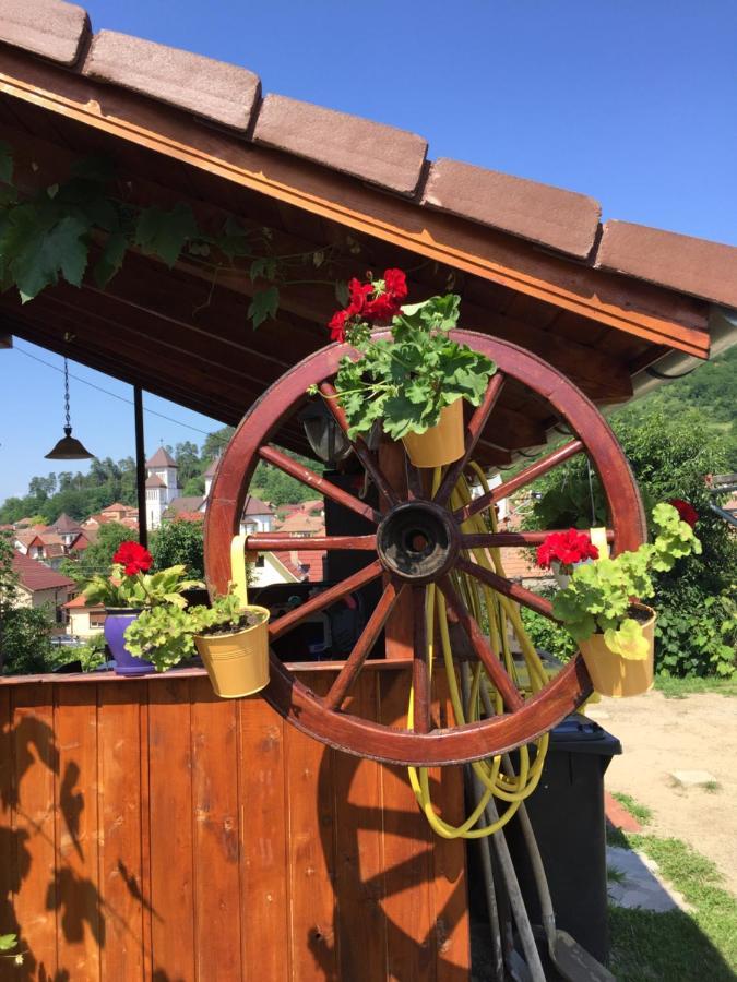 Casa Rustica Cu Terasa Villa Mediaş Exteriör bild