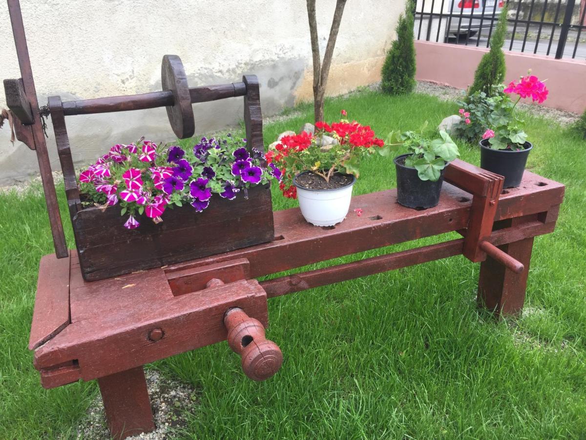 Casa Rustica Cu Terasa Villa Mediaş Exteriör bild