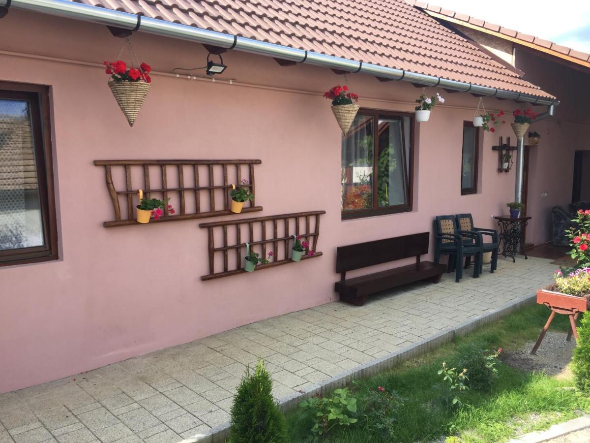 Casa Rustica Cu Terasa Villa Mediaş Exteriör bild