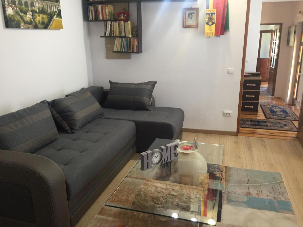 Casa Rustica Cu Terasa Villa Mediaş Exteriör bild