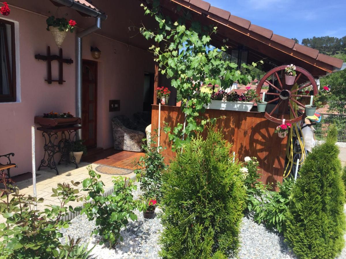 Casa Rustica Cu Terasa Villa Mediaş Exteriör bild