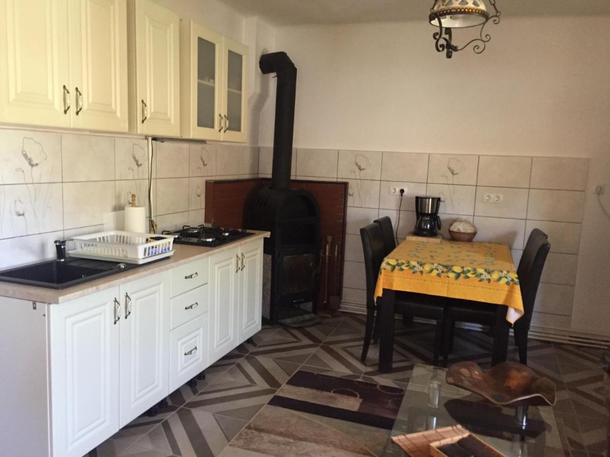 Casa Rustica Cu Terasa Villa Mediaş Exteriör bild